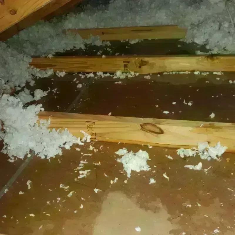 Attic Water Damage in Oakland, TN